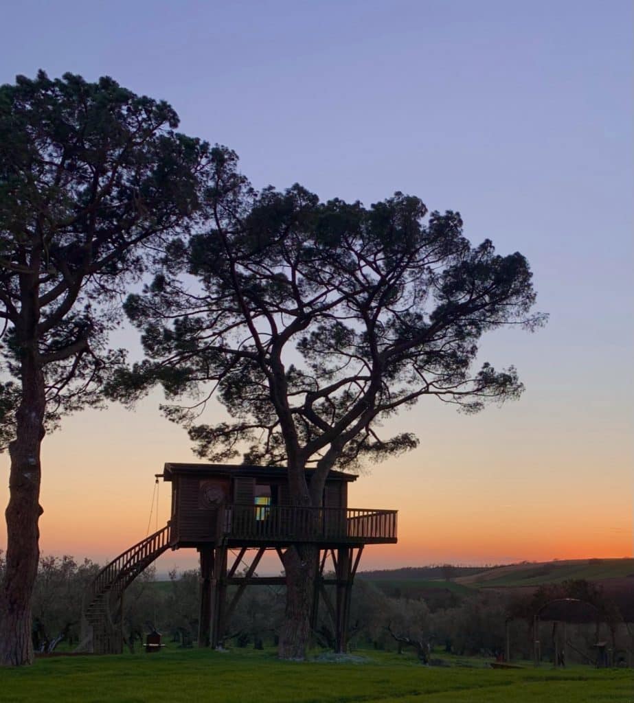 La casa sull'albero